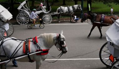New York to ban Central Park's horse-drawn carriages after teen's death