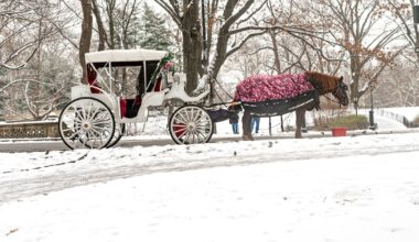 New York to ban Central Park’s iconic horse-drawn carriages after teen’s death