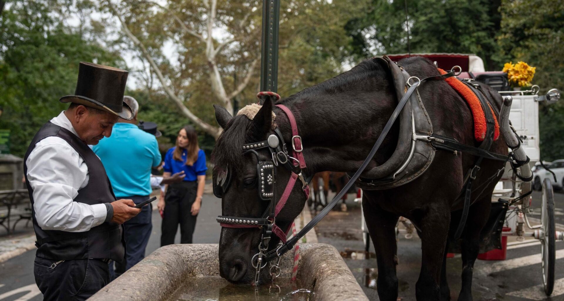 New York to ban Central Park’s horse-drawn carriages after teen’s death