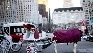 New York banning Central Park's horse-drawn carriages after teen's death