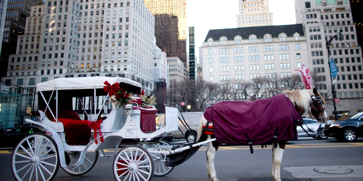 New York banning Central Park's horse-drawn carriages after teen's death