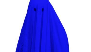 Want to be the BOO-klyn Democratic Party chair?