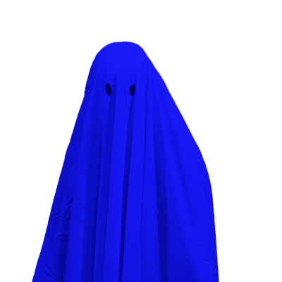 Want to be the BOO-klyn Democratic Party chair?