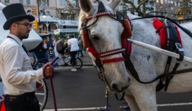 John Samuelsen is (predictably) not happy about the horse carriage ban