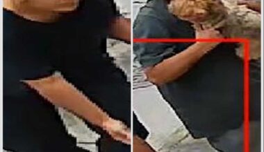 Police seek help locating Queens dognappers who made off with Yorkshire Terrier
