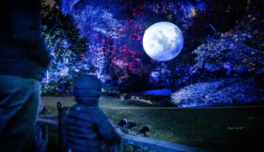 Lightscape, Brooklyn Botanic Garden’s dazzling holiday display, returns Nov. 20 • Brooklyn Paper