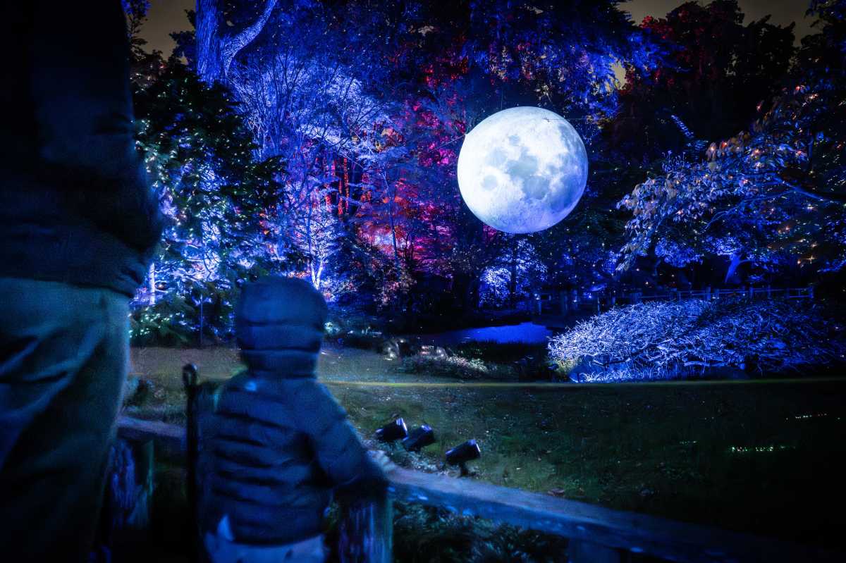 Lightscape, Brooklyn Botanic Garden’s dazzling holiday display, returns Nov. 20 • Brooklyn Paper