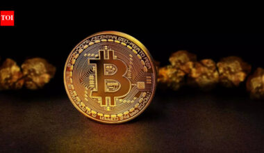 How a Brooklyn crypto cop took down a global scam network