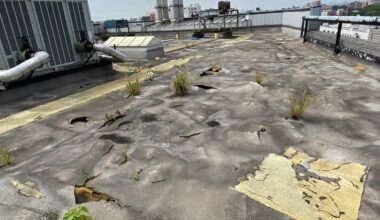 MTA train yards are in such bad shape plants are growing out of the roof, watchdog says
