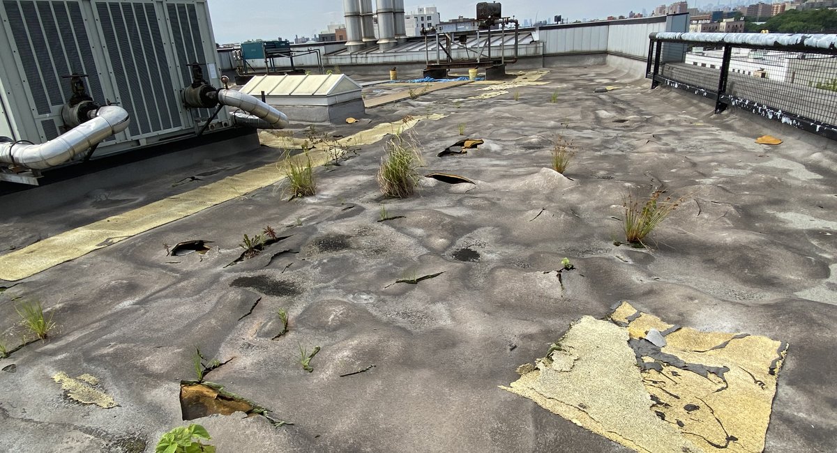 MTA train yards are in such bad shape plants are growing out of the roof, watchdog says