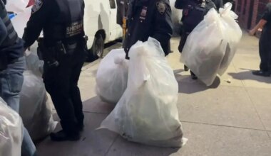 Cannabis grow house with more than 2 dozen adult plants discovered in the Bronx, NYC Sheriff's Office says