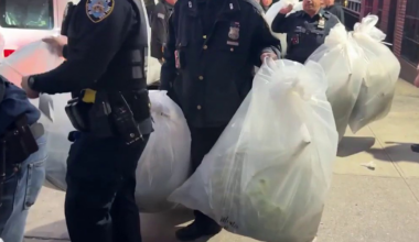 Bronx marijuana grow house discovered during eviction, dozens of plants seized