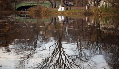 Thanksgiving weather in NYC: Will it rain or snow?
