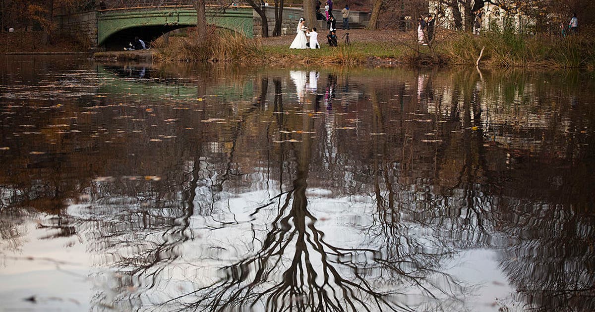 Thanksgiving weather in NYC: Will it rain or snow?
