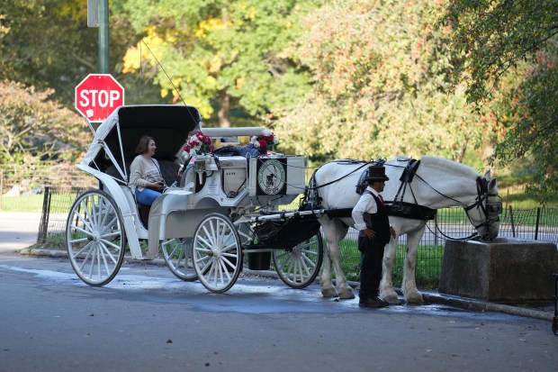 People ride in a horse-drawn carriage in Central Park on Tuesday, Oct. 13, 2026. (Barry Williams / New York Daily News)