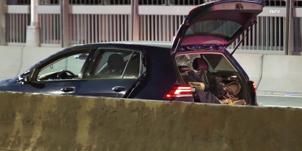 Retired cop arrested after Con Edison worker gunned down on busy NYC bridge: officials