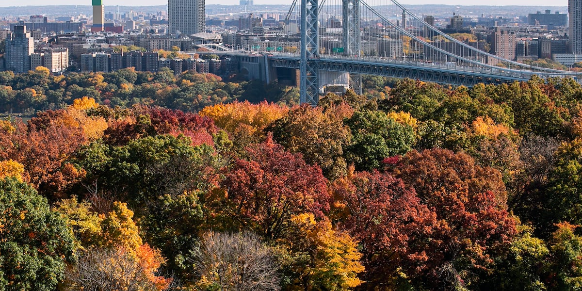 Retired NYPD detective arrested in road rage killing on George Washington Bridge
