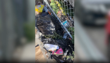 News 12 | Bronx | Bronx Residents Call For More Maintenance For Sidewalk Area Near Multiple Schools