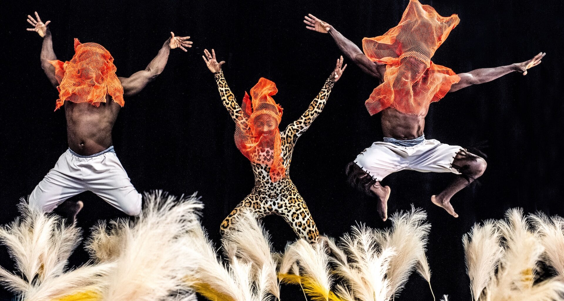 It’s In Queens! (Oct. 23 to Oct. 29)
