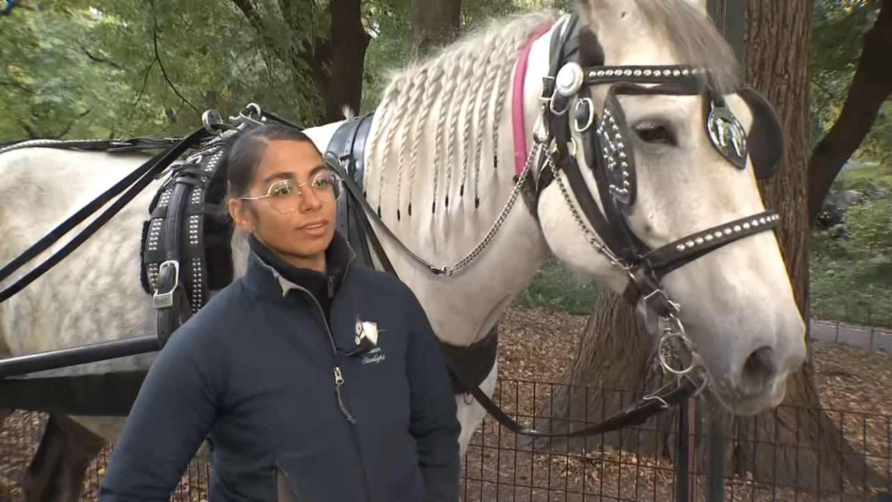 Central Park carriage driver fights horse ban proposal