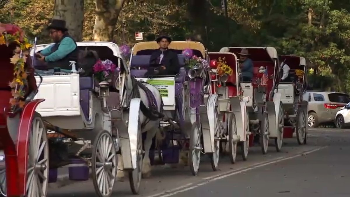 NYC horse carriage industry expected to shutter at NYC Council today – NBC New York