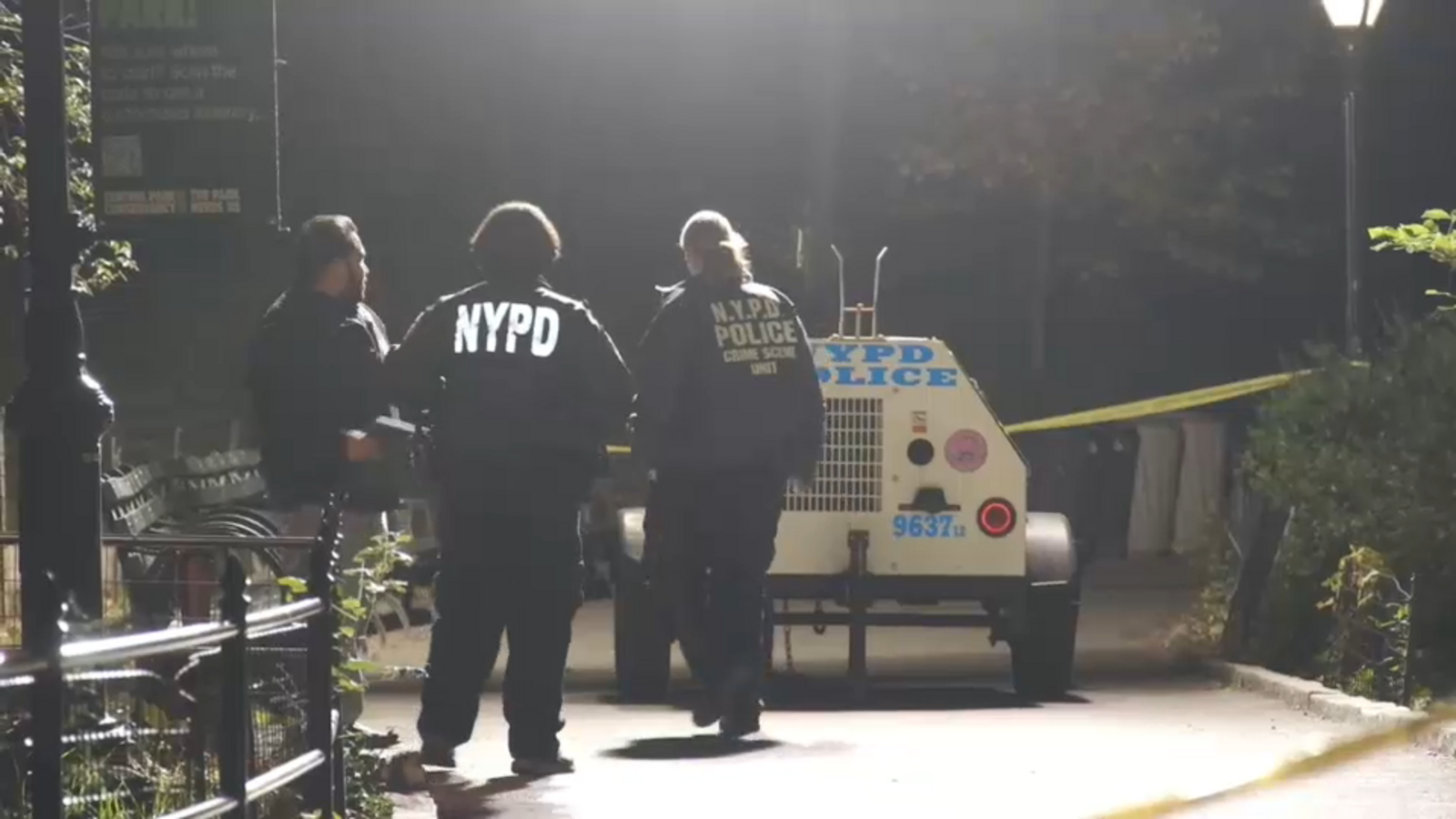 Woman sexually assaulted at knifepoint in Central Park