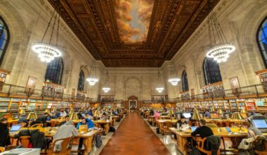 Owl pellets and period equity: What's happening at NYC's public libraries this November