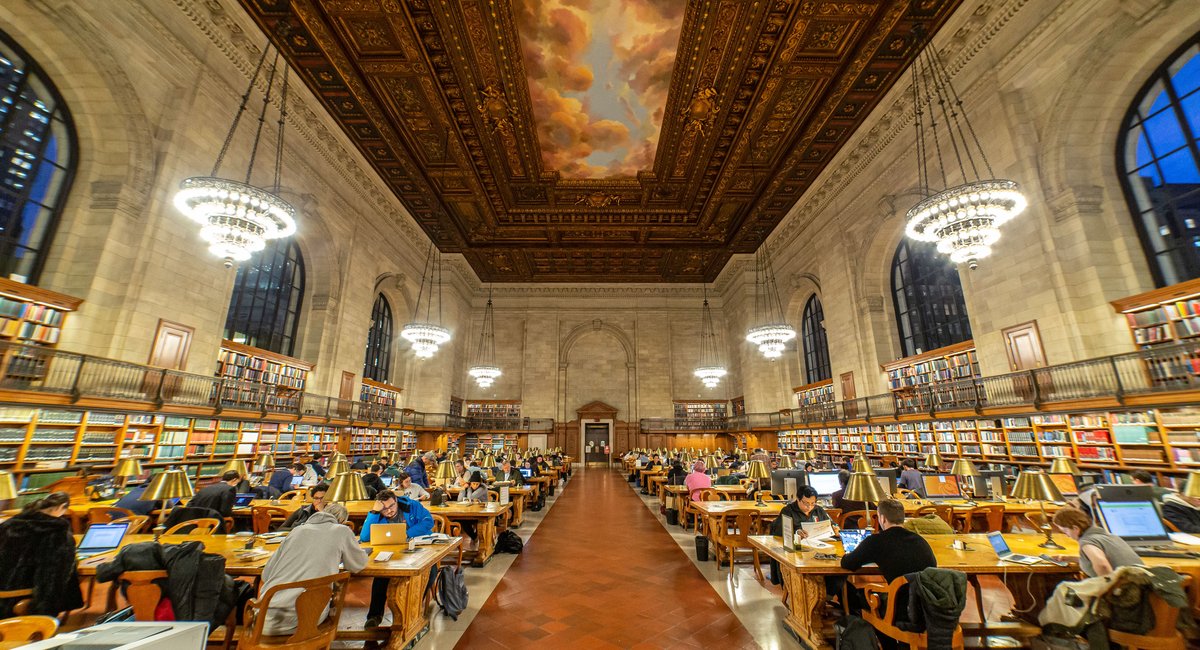 Owl pellets and period equity: What's happening at NYC's public libraries this November