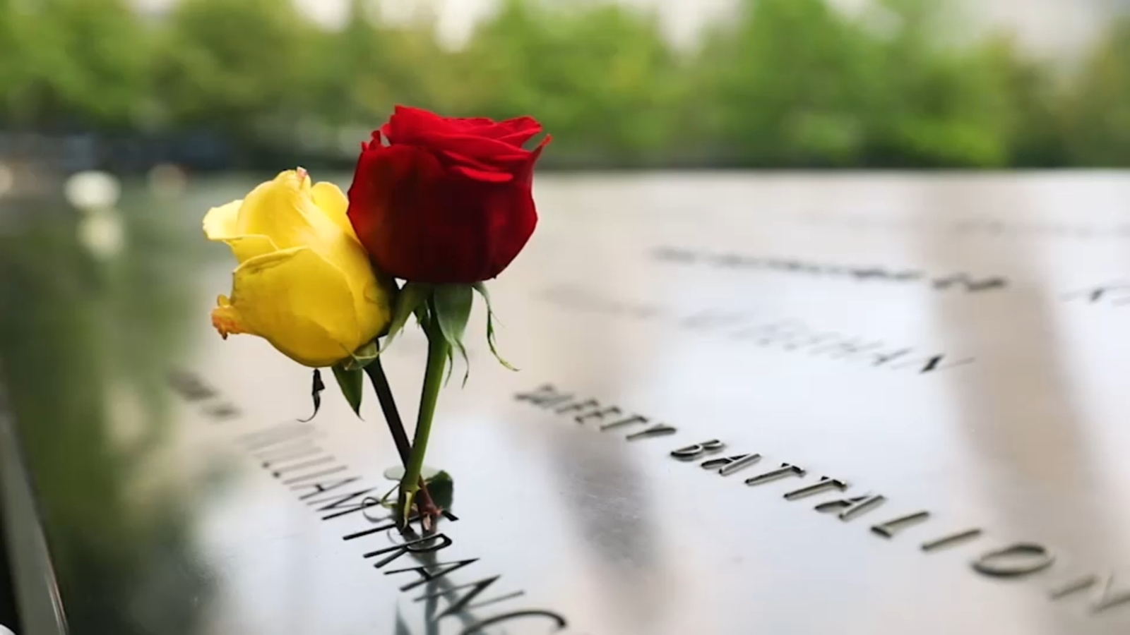 Second 9/11 victim identified with breakthrough genetic genealogy technique
