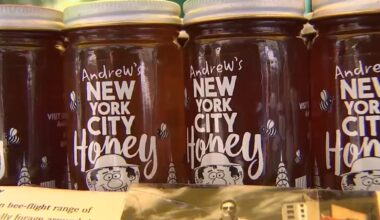 NYC beekeeper Andrew Cote finds sweet success on rooftops