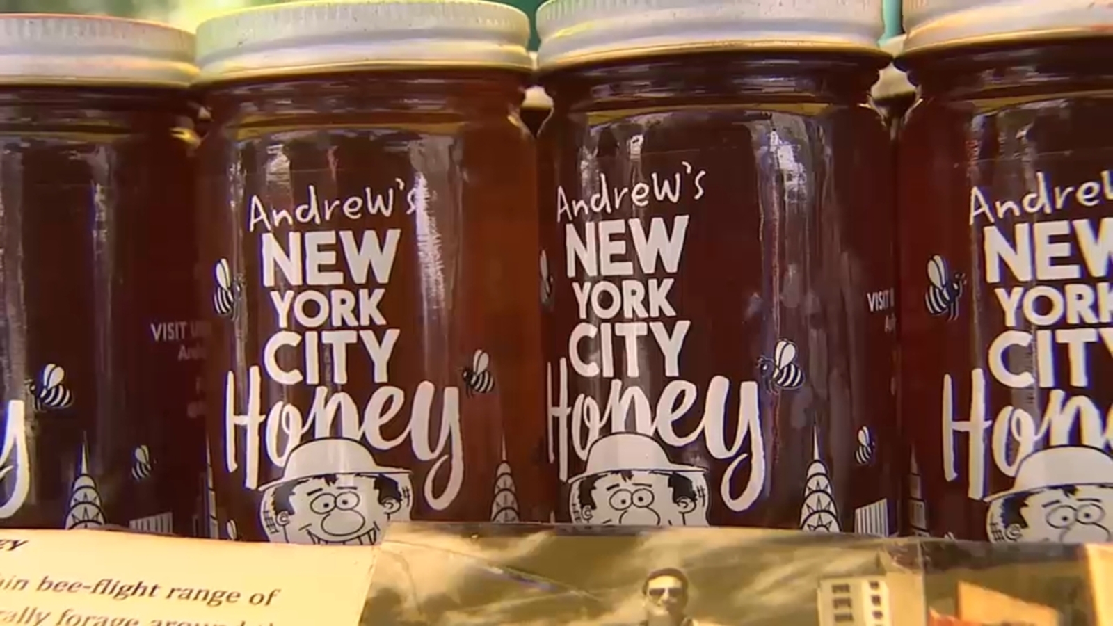 NYC beekeeper Andrew Cote finds sweet success on rooftops