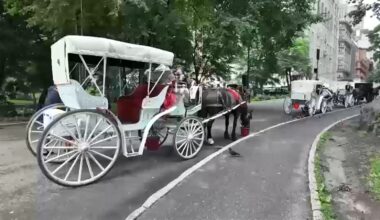 Horse carriage ban NYC: Council announces vote next week in move expected to get support from Mamdani