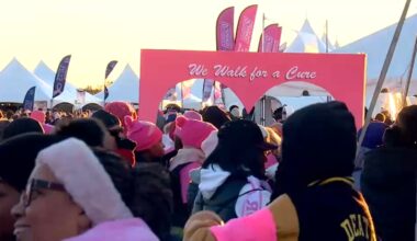Making Strides Against Breast Cancer walk draws thousands to Central Park, Jones Beach
