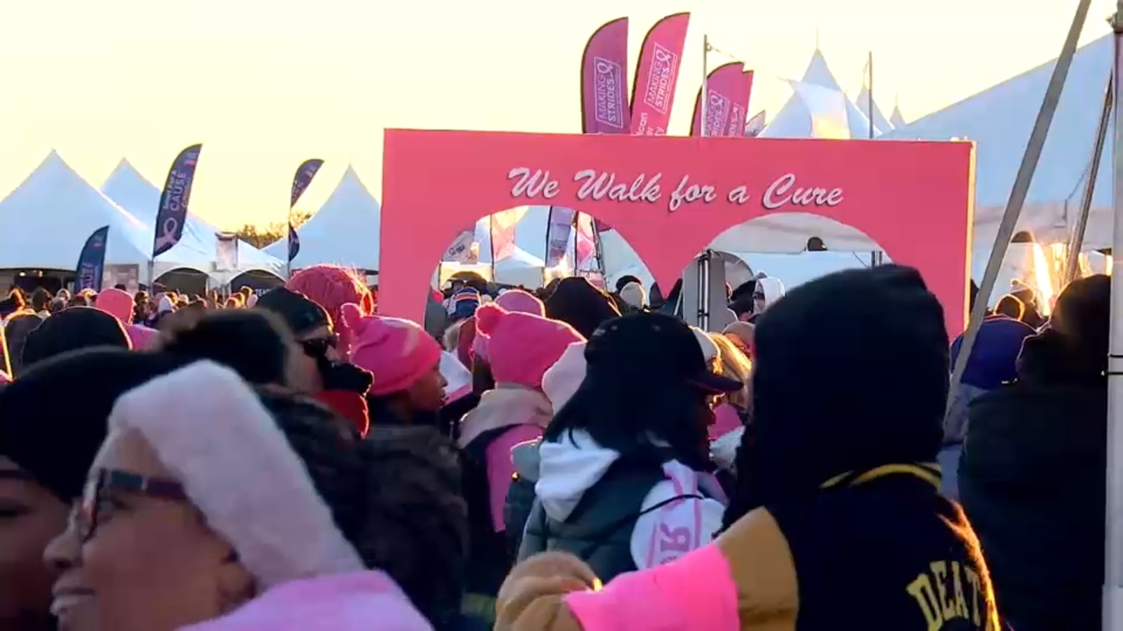Making Strides Against Breast Cancer walk draws thousands to Central Park, Jones Beach