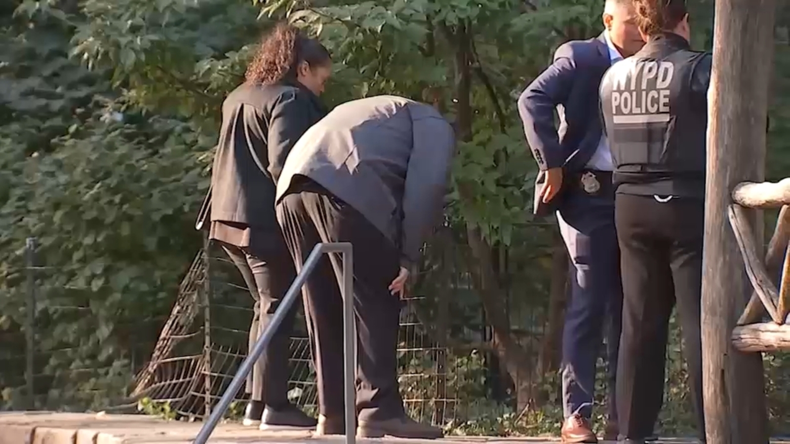 Central Park sex assault: NYPD hunts for suspect