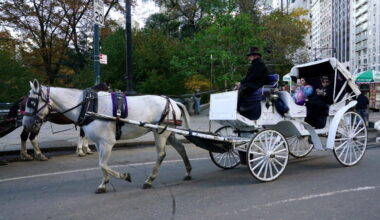 Tourist travel returns in New York
