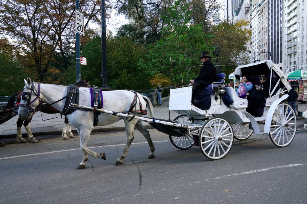 Tourist travel returns in New York