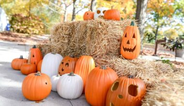 Queens Botanical Garden is hosting a Halloween candy trail, live shows and a harvest bar for just $10