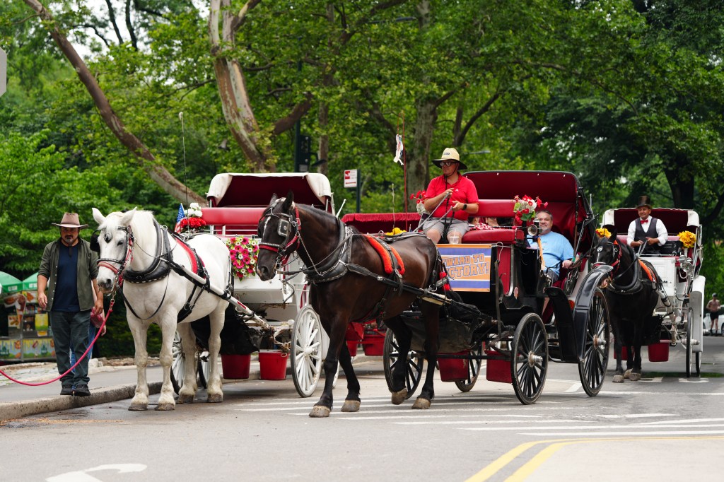 Carriage horses stand near Central Park after horse-drawn carriage rides resumed in New York.