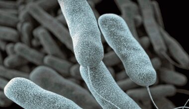The city sees between 200 and 600 Legionnaires&rsquo; cases each year, according to the city&rsquo;s health department.