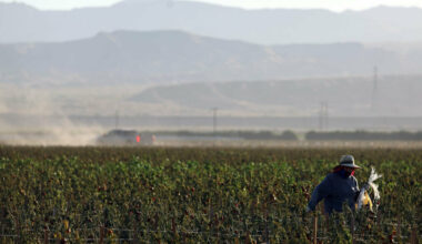 Farmworkers are among the world&rsquo;s most exploited workers, according to a new IPES-Food report, which cites widespread poverty, wage theft, forced labor and dangerous working conditions in agriculture.
