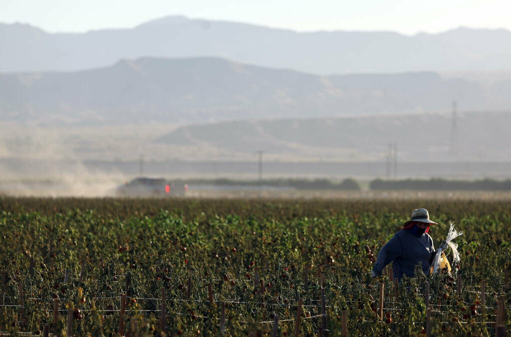 Farmworkers are among the world&rsquo;s most exploited workers, according to a new IPES-Food report, which cites widespread poverty, wage theft, forced labor and dangerous working conditions in agriculture.