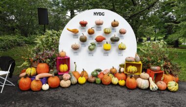 Pumpkins and gourds of seemingly every shape, size and texture greet visitors at the New York Botanical Garden, where the fall harvest becomes part of the landscape surrounding its new D&iacute;a de los Muertos exhibition. The display reflects the garden&rsquo;s effort to weave horticulture throughout the celebration, highlighting plants native to Mexico and Central America alongside the cultural traditions of the holiday.