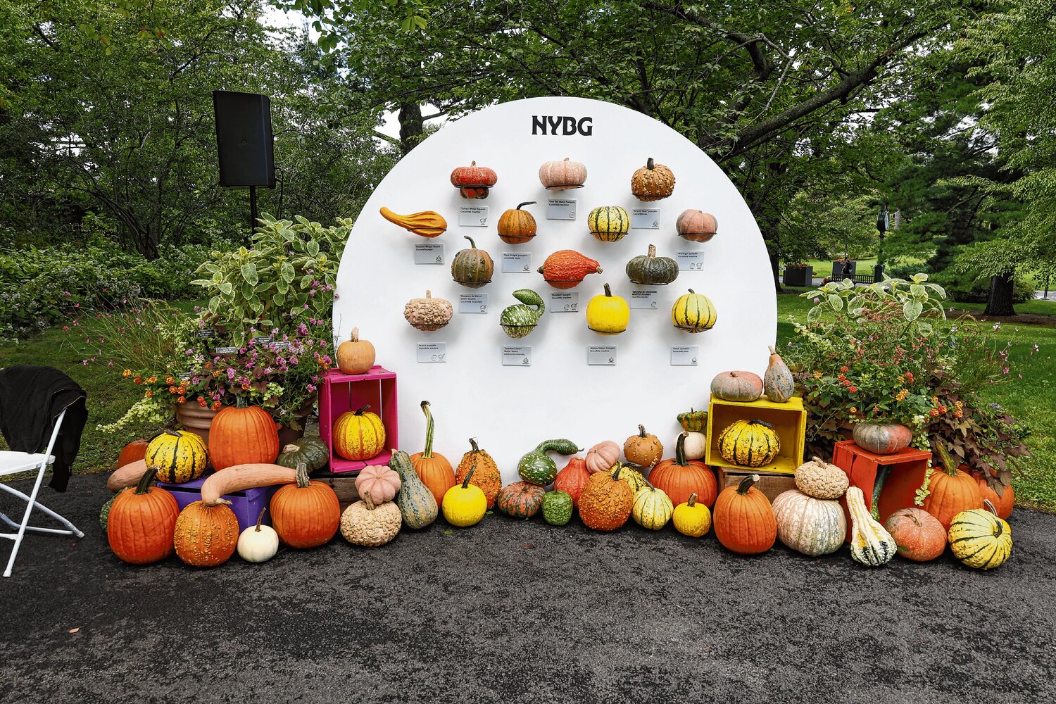 Pumpkins and gourds of seemingly every shape, size and texture greet visitors at the New York Botanical Garden, where the fall harvest becomes part of the landscape surrounding its new D&iacute;a de los Muertos exhibition. The display reflects the garden&rsquo;s effort to weave horticulture throughout the celebration, highlighting plants native to Mexico and Central America alongside the cultural traditions of the holiday.