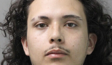 Defendant Sebastian Bedoya, 19, of 318 East Rockefeller Street, faces multiple charges of stolen property and petit larceny.