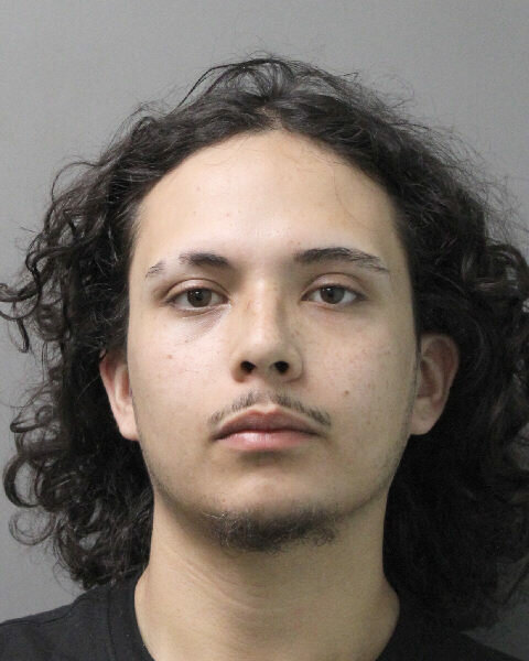 Defendant Sebastian Bedoya, 19, of 318 East Rockefeller Street, faces multiple charges of stolen property and petit larceny.