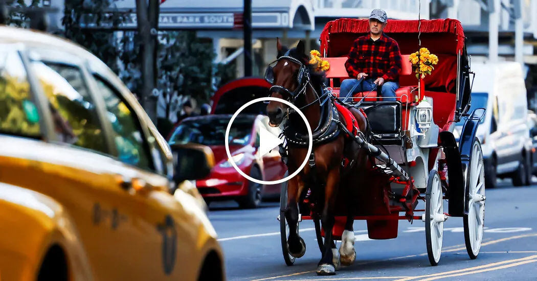 New York City Passes Horse Carriage Ban