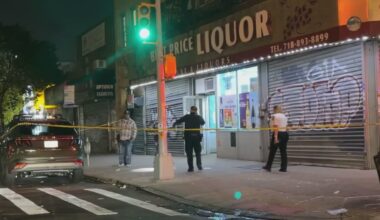 News 12 | Bronx | 2 Men Injured In Longwood Shooting1