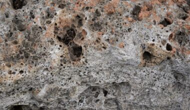 Close-up of pumice stone displaying its characteristic porous texture, formed by volcanic activity. Ideal for geology and natural material studies.