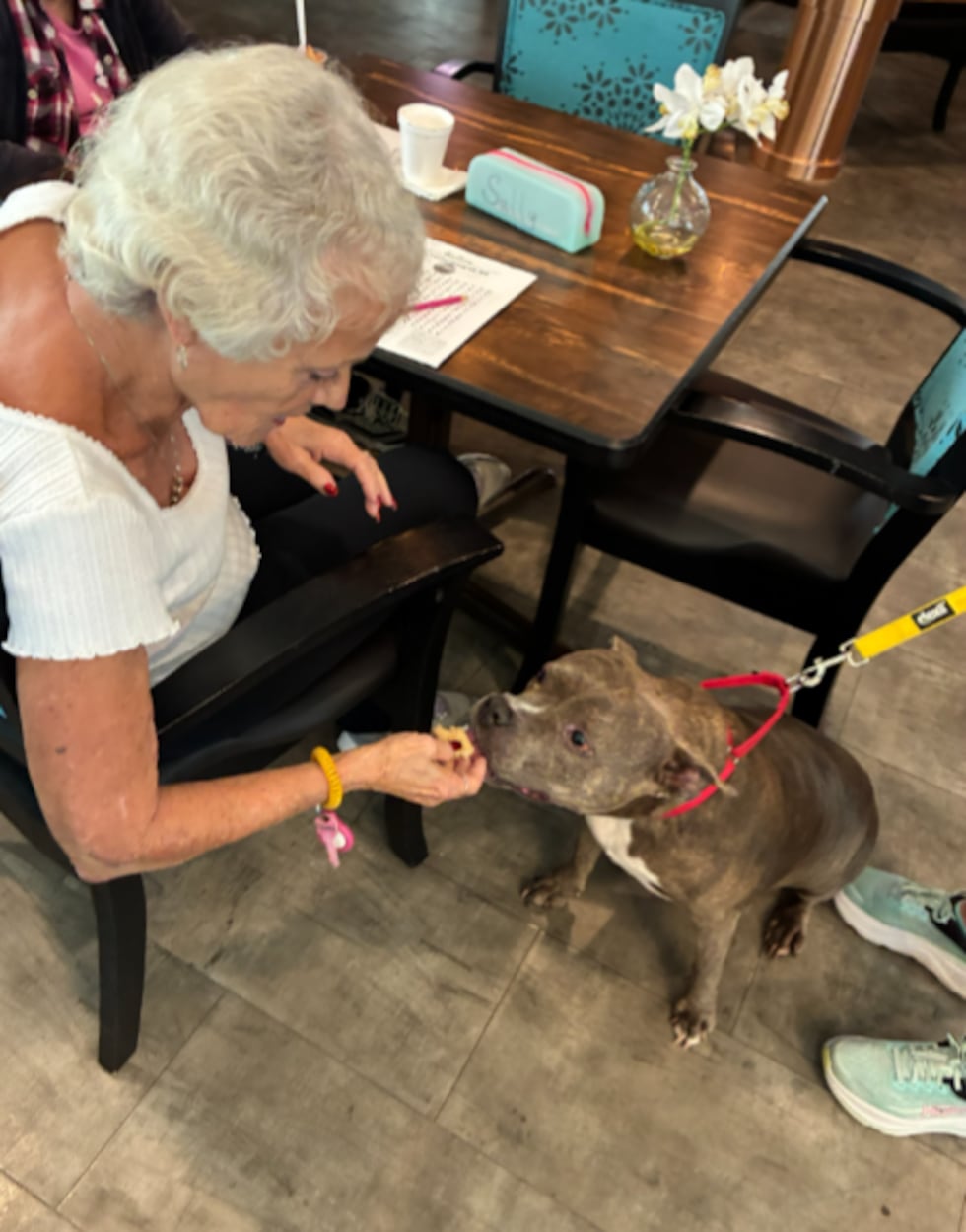 Manhattan visits with residents at a local assisted living facility. The 8-year-old dog is...
